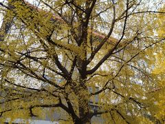 -四川大学华西医院-地下停车场