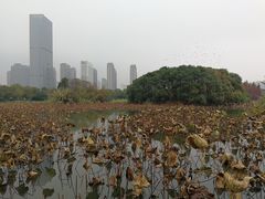 -艾溪湖湿地公园