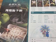 -春润大地海南椰子鸡(沙井京基百纳广场店)