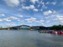 -上海长兴岛郊野公园