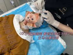 -agge蛋白医美
