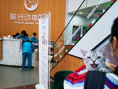 -联合动物医院(光谷诊疗中心)