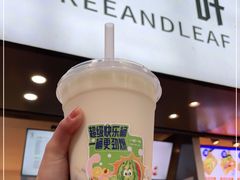-一树一叶·福建茶档(石鼓路店)