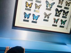 -上海昆虫博物馆