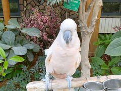 -南宫五洲植物乐园