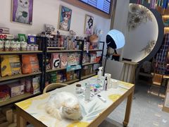 -山宅一喵德文卷毛猫舍