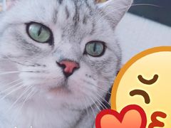 -平行世界·猫咖(首经贸店)