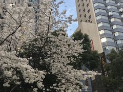 -玛格萝妮比萨屋(四平店)