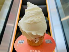 爆款榴莲冰激凌-野人先生现做冰淇淋(西安赛格店)
