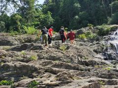 -海南热带雨林国家公园吊罗山景区