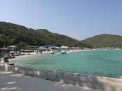 -月光岛