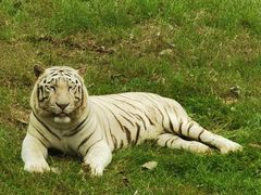 -济南野生动物世界