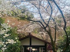 -中国茶叶博物馆(双峰馆区)