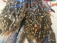 -阳光岛·海鲜盛宴(银泰中心in99店)