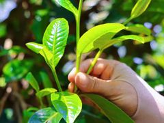 -西西弗书店&矢量咖啡(凯德晶萃广场店)