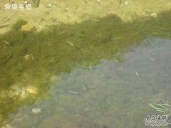 -碓臼峪自然风景区