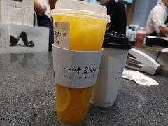 -一叶觅山(半边街店)