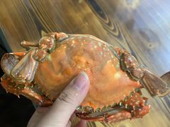 -海帮主·蒸汽海鲜青岛菜(栈桥火车站店)