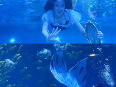 -华夏文旅海洋公园