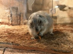 -Zoolung Zoolung动物主题公园(海信广场店)