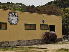 -无锡动物园·太湖欢乐园