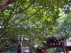 -黄龙溪古镇