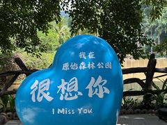 -西双版纳原始森林公园