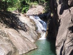 -广州白江湖森林公园