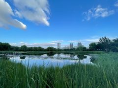 -群力丁香公园