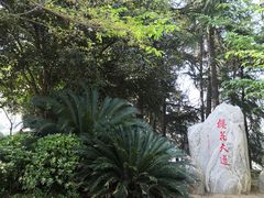 -武汉大学-樱园