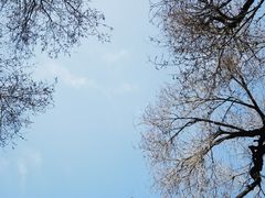 -内蒙古将军衙署博物院