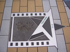 -星光大道
