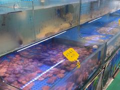 -前王院•巧克力海鲜市集餐厅(万平口店)