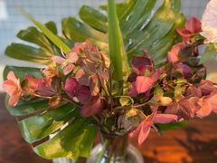 -微焙咖啡工厂(海峡创意产业园·红坊店)