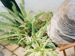 -悦慕·花满溪(新城吾悦店)