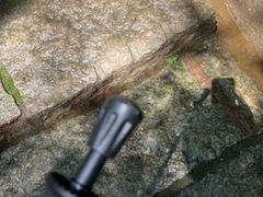 -黄埔油麻山森林公园