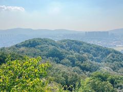 -灵岩山风景区