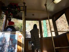 -神户市立六甲山牧场
