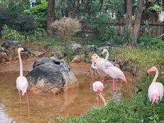 -昆明动物园
