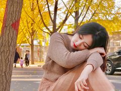 -三里屯东五街银杏大道