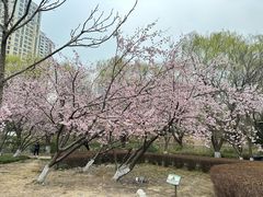 -白塘生态植物园