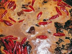 -映山红鲜货火锅(鱼嘴店)