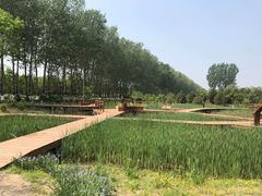 -东郊湿地公园