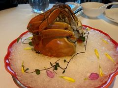 -上海总会SHANGHAICLUB(兴业太古汇店)