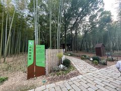 -同里国家湿地公园