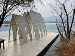 -长兴太湖图影湿地文化园