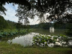 -福建鲤鱼洲酒店