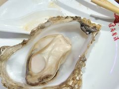-蚝堡海鲜·威海菜·海肠捞饭·烧烤·亚洲吃蚝公司(幸福门店)