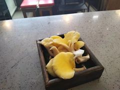 -木王宴语·野生鲜菌火锅(玉河店)