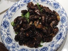 -古萧汪家羊肉馆(龙山路总店)